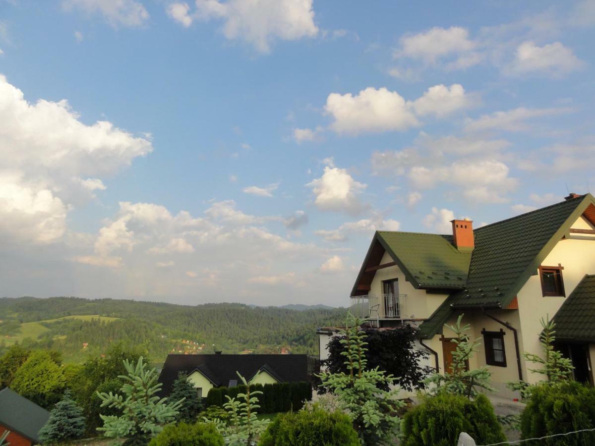 Wilkowka Villa Wolkowyja Exteriör bild